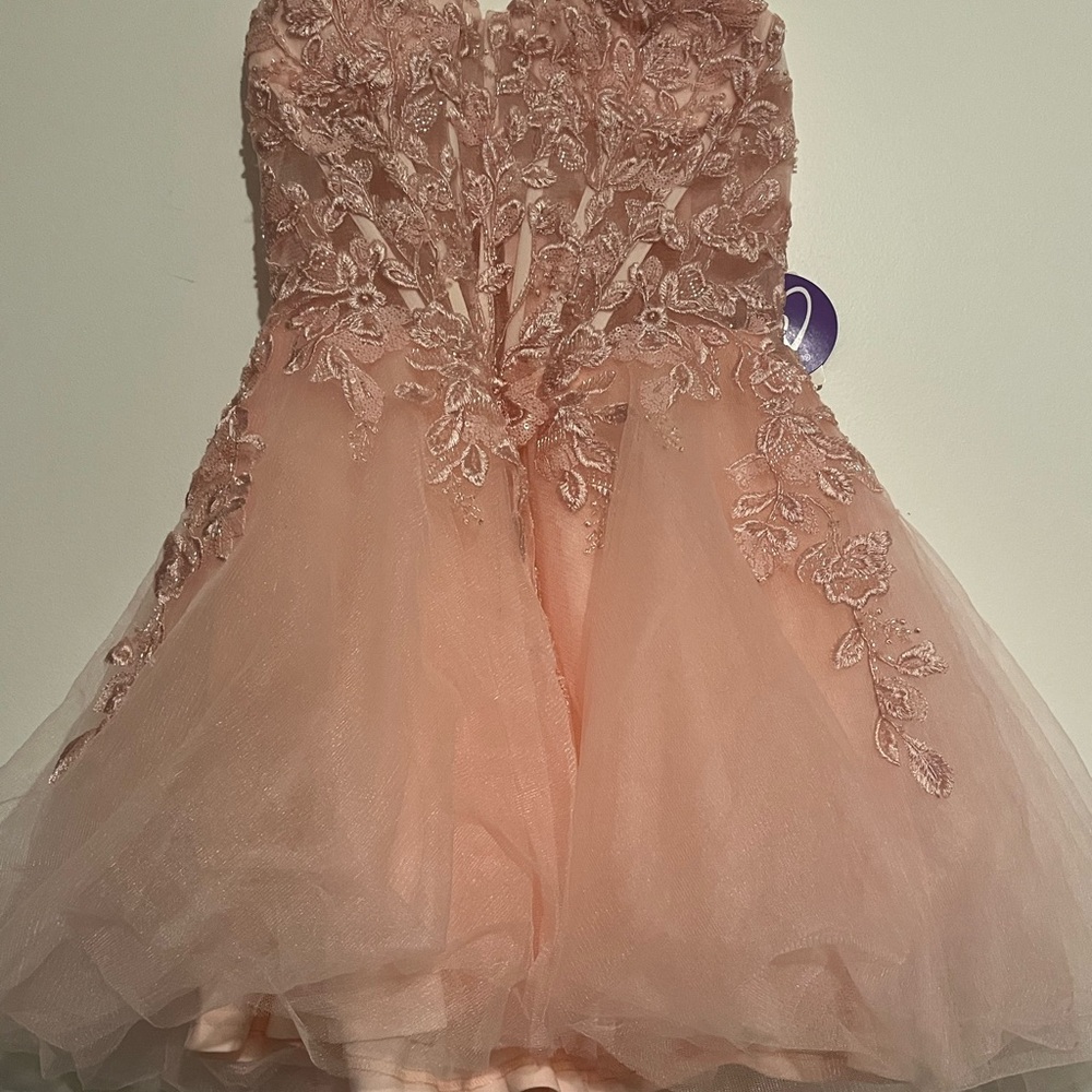 Windsor elegant women dress size small